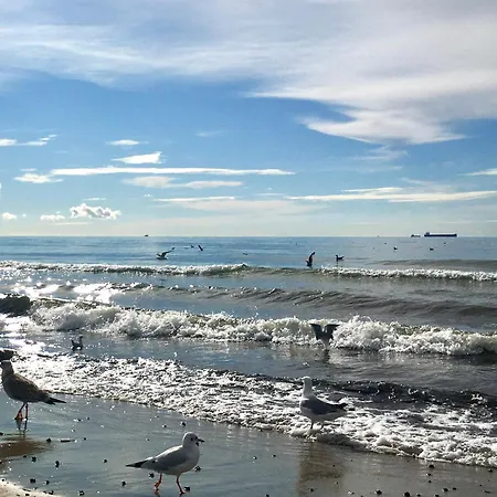 Lesna Sonata Z Tarasem I Ogrodkiem Sopot