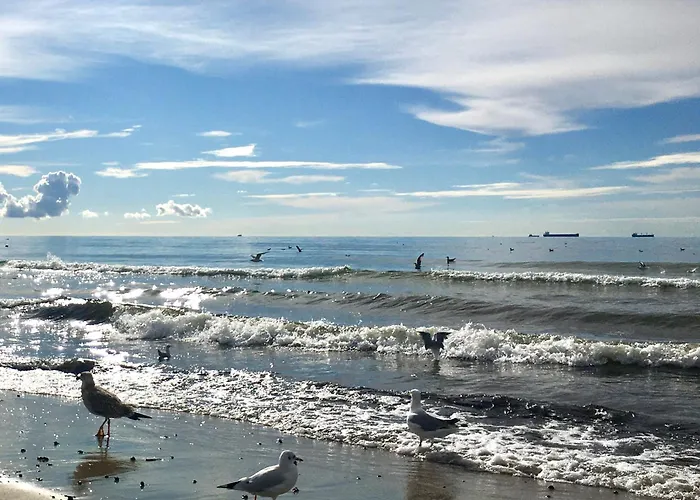 Lesna Sonata Z Tarasem I Ogrodkiem Zoppot